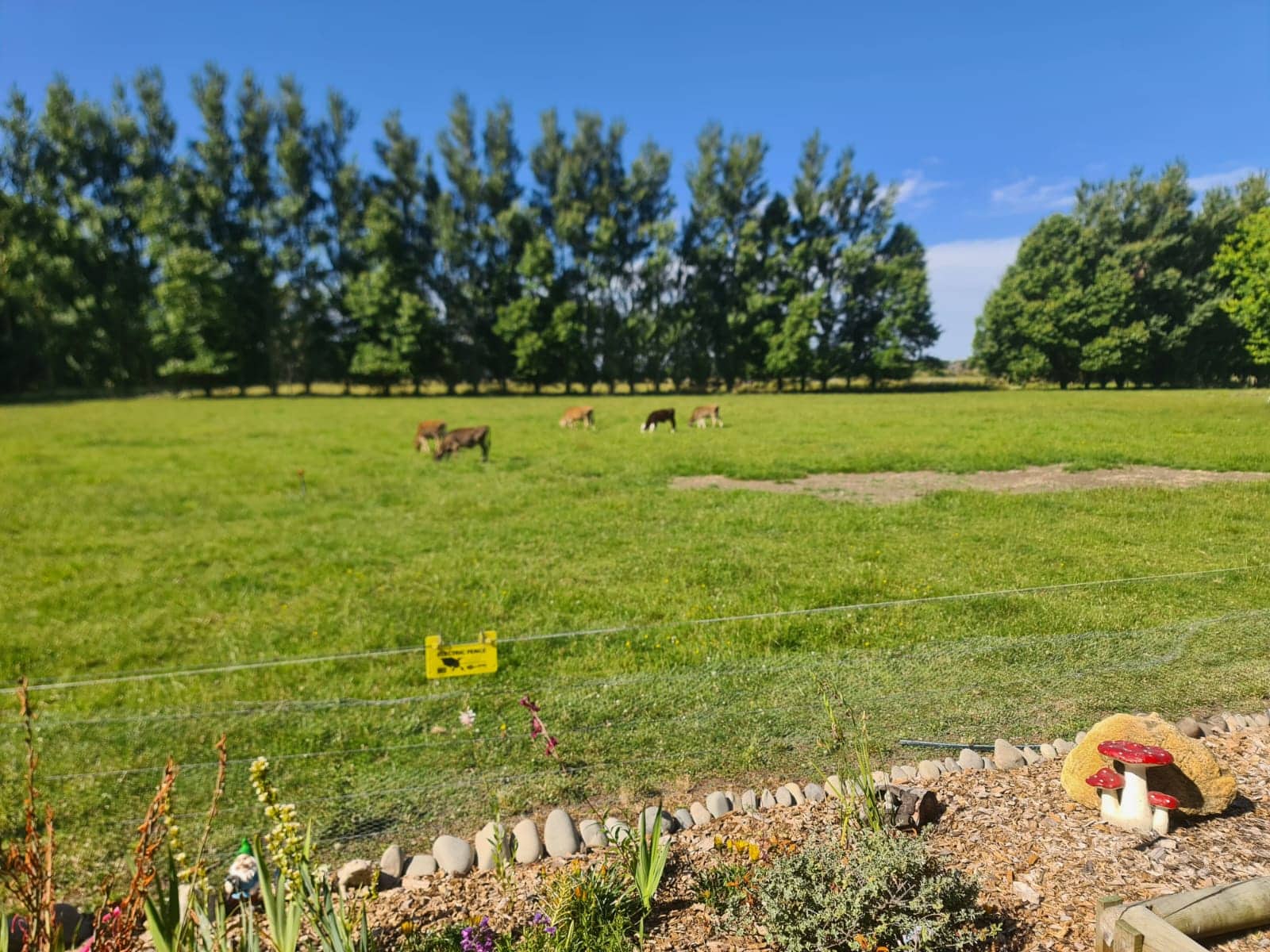 Ostsee Ferienwohnung Wohnzimmer